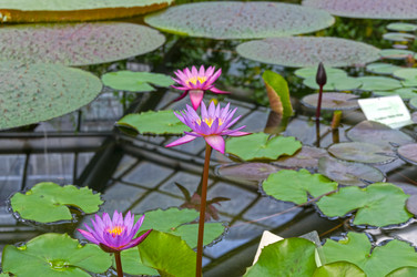 Similar image 21531392