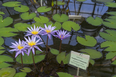 Similar image 21531393