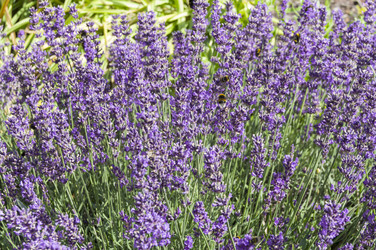 Similar image 21531397