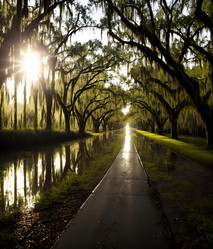 Similar image 21531820