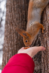 Similar image 21534265