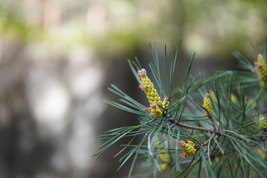 Similar image 21531825