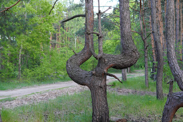 Similar image 21531826