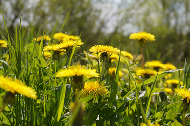 Similar image 21531827