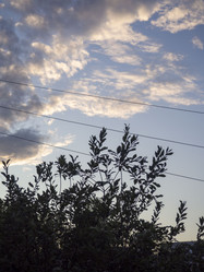 Similar image 21547779