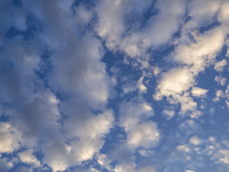 Similar image 21547780