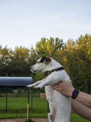 Similar image 21547781