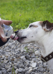 Similar image 21547782