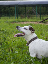 Similar image 21547783