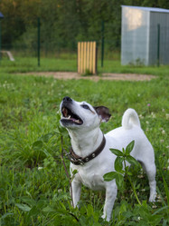 Similar image 21547784