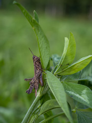 Similar image 21547785