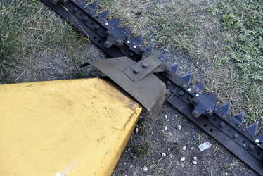 Similar image 21531832