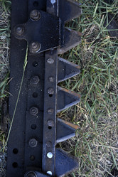 Similar image 21531834