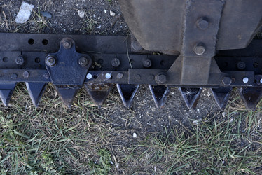 Similar image 21531835