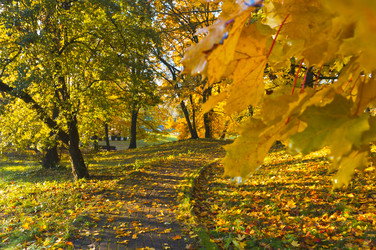 Similar image 21534566