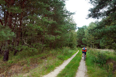 Similar image 21534568