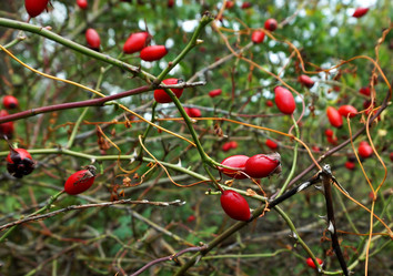 Similar image 21534572