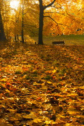 Similar image 21534576