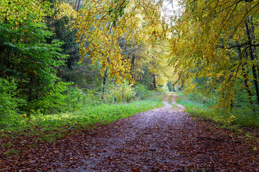 Similar image 21534577