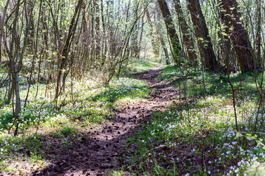 Similar image 21534583