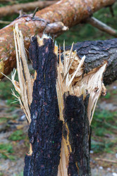 Similar image 21534585