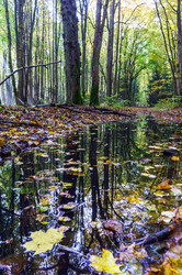 Similar image 21534588