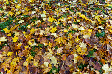 Similar image 21534597