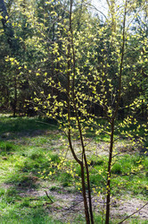 Similar image 21534598