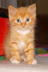 Similar image 21534603