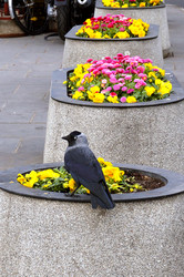 Similar image 21534690