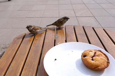 Similar image 21534703