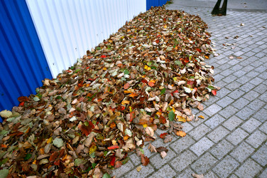 Similar image 21534704