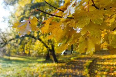 Similar image 21534728