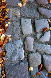 Similar image 21534734