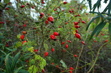 Similar image 21534736