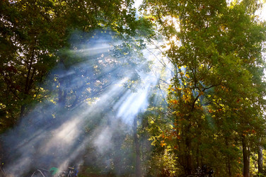 Similar image 21534737