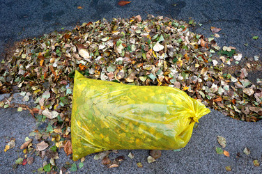 Similar image 21534741