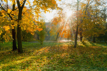 Similar image 21534752