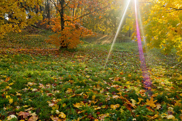 Similar image 21534759