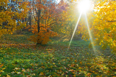 Similar image 21534762