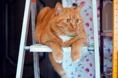 Similar image 21534767