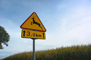 Similar image 21534774