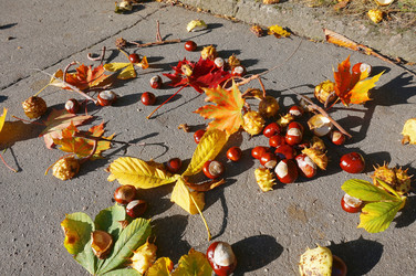 Similar image 21534779