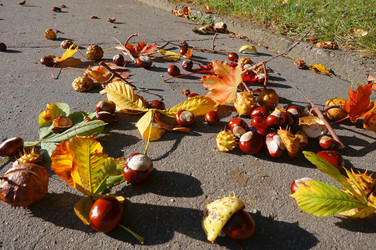 Similar image 21534783