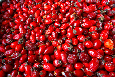 Similar image 21534784