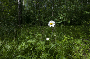 Similar image 21533032