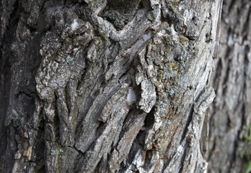 Similar image 21533036