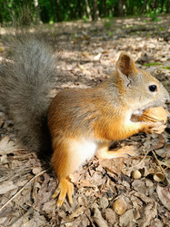 Similar image 21533045