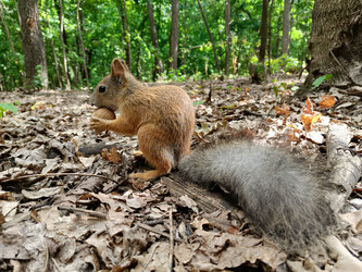 Similar image 21535523