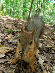 Similar image 21535524